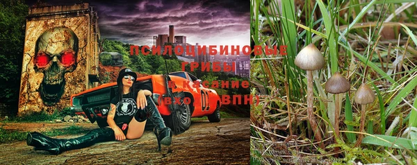 дживик Балабаново