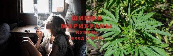 прущие крисы Балахна