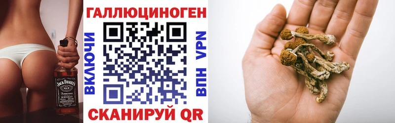Галлюциногенные грибы мицелий  Купить где  Старая Русса 
